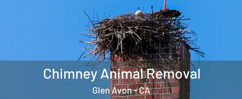 Chimney Animal Removal Glen Avon - CA