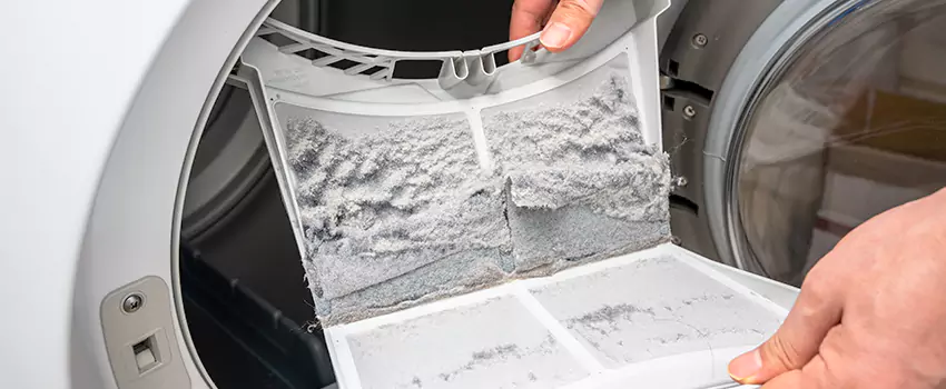 Best Dryer Lint Removal Company in Glen Avon, California