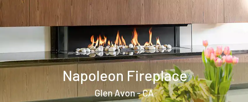  Napoleon Fireplace Glen Avon - CA